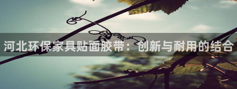 沐鸣2平台官网网址：河北环保家具贴面胶带：创新与耐用的结合