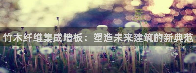 沐鸣2平台服务中心怎么样
