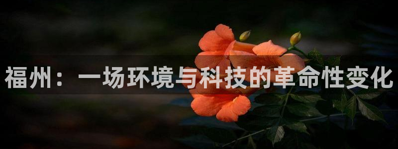 沐鸣2平台网站是什么