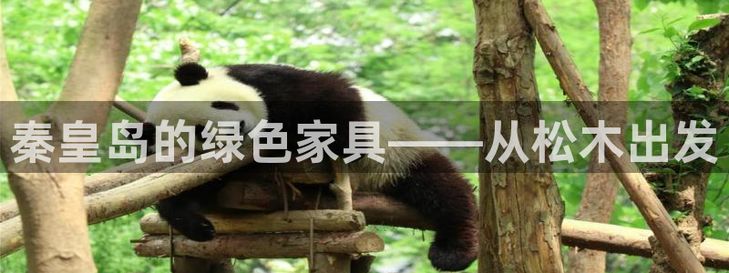 沐鸣2平台一安全注册入口：秦皇岛的绿色家具——从松木出发