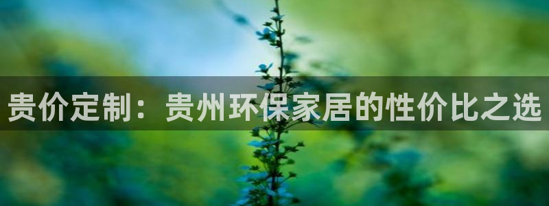 沐鸣2平台官方登录：贵价定制：贵州环保家居的性价比之选