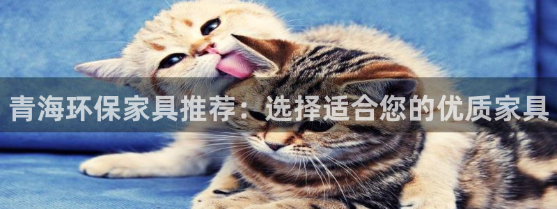 沐鸣2平台已7O777：青海环保家具推荐：选择适合您的优质家