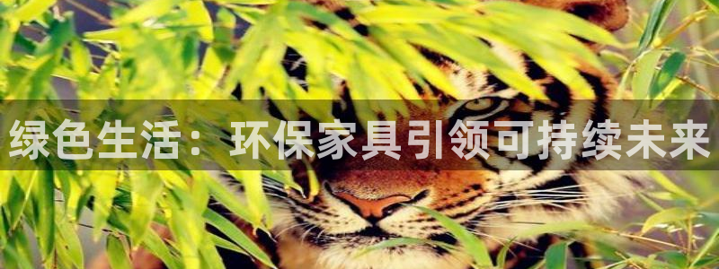 沐鸣2是什么平台：绿色生活：环保家具引领可持续未来