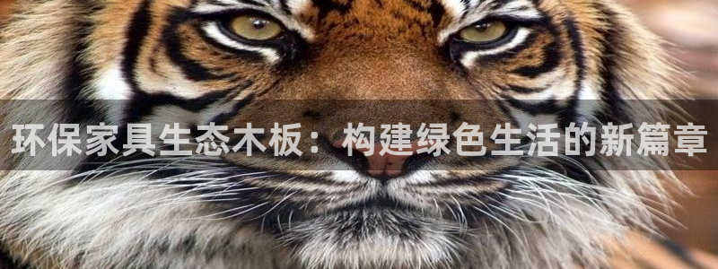 沐鸣2平台服务中心电话号码：环保家具生态木板：构建绿色生活的