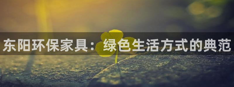 沐鸣2注册中心：东阳环保家具：绿色生活方式的典范